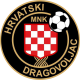 Hrvatski dragovoljac